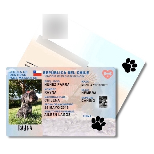 Plantillas De Carnet Para Mascota 