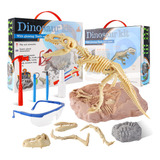 Juego De Excavacion De Esqueleto De Dinosaurio Para Niños