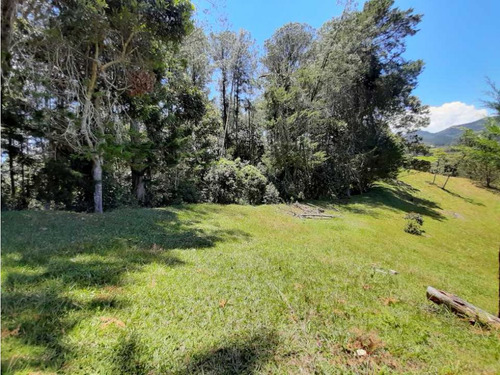 Venta De Lote En Parcelación Via Carabanchel Hacia La Fe - Imagen 4