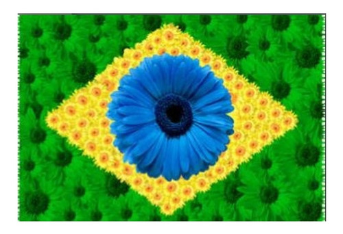 Canga Praia Bandeira Brasil Flora Fauna Fita Tropical 2023