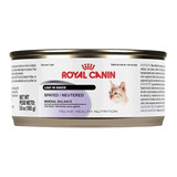 24 Latas Royal Canin Spayed Neutered Cats Loaf In Sauce 165g