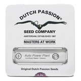 Auto Power Plant X 3 Semillas Dutch Passion