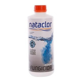 Nataclor Fungicida Para Piletas De 1 Litro Alguicida Rinde +