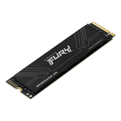 Ssd 1tb M.2 2280 Gen 5 Pcie Nvme Fury Renegade G5 Kingston | Frete grátis