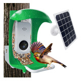 Comedero Inteligente Para Pajaros Con Camara (incluye Panel