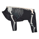 Disfraz De Perro Esqueleto De Halloween, Ropa Para 2xl