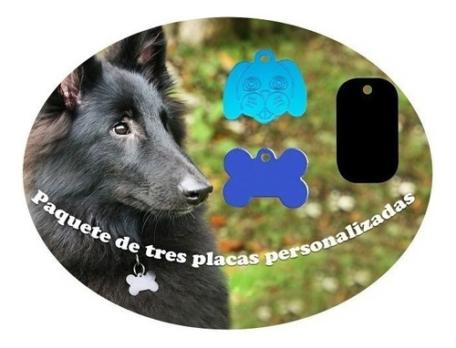 3 Placas Mascotas Grabado Laser Personalizado Perro Estilo