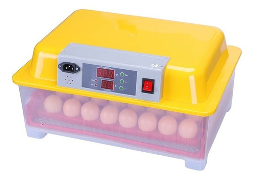 Incubadora Automática 24 Huevos Con Volteo+regalos
