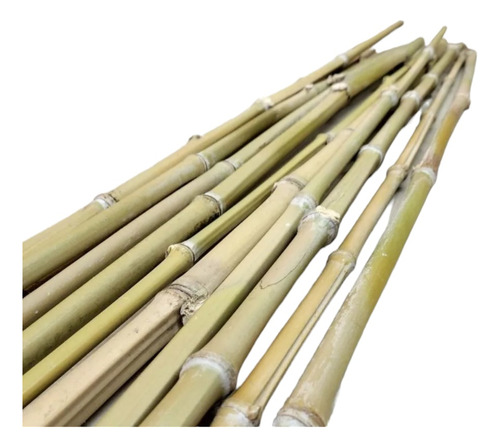 50 Varas De Bambú / Tutores Manualidades Jardinería 100 Cm V