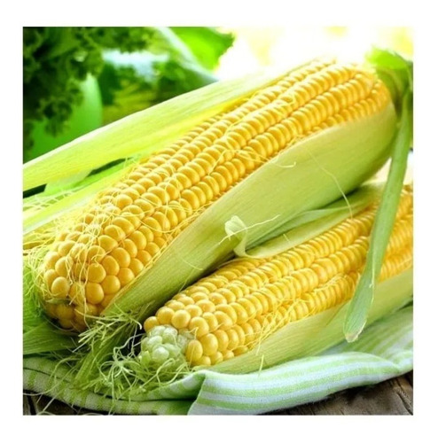  1 Kilo De Sementes De Milho Verde Híbrido Biomatrix 3061