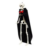 Mini Esqueleto Con Articulaciones Decoración De Esqueleto