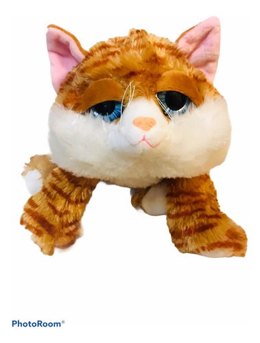 Peluche Gatito Acostado Miel Con Sonido Miau