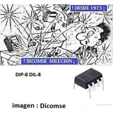 Ds1210 Dallas Nonvolatile Controller Chip. 5 Vsupply Voltage