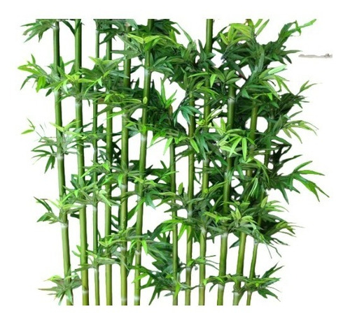 Planta Vara Bambu Artificial Decorativa Pack 12 Unidades