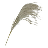 Rama Decorativa Pampas Plumas Blancas De 134 Cm