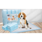 Tapete Entrenador Perro Absorbente Mascota 150 Unid 50x50 Cm