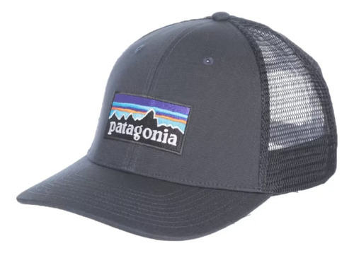 Gorra Patagonia Line Logo Ridge Lopro Trucker Unisex Gris