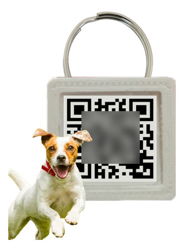 Medalla Identificatoria Con Qr Para Mascotas Bqr Buscaqr