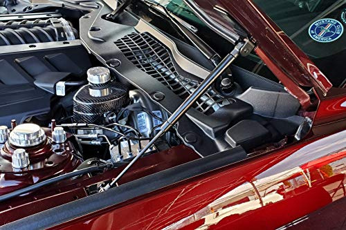 Amortiguador Para Capot Ford Mustang 2015-2023 2pcs. Foto 5