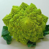 Semilla De Brócoli Romanesco