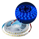 Tira Led 2835/3528 Interior 5mt 120led/m Alta Potencia Color