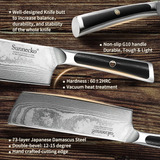 Cuchillo Chef Knife-japonés Damasco Cuchillo De Cocina, Cuch