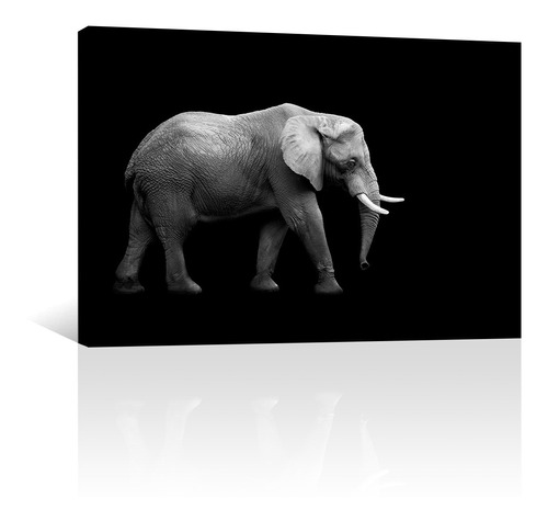 Cuadro Decorativo Animales Canvas Elefante En Fondo Negro