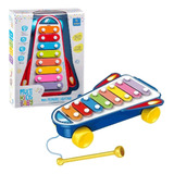 Tecladinho Infantil Meu Primeiro Xilofone Musical Multikids