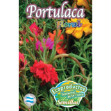 Semillas Florales Ecoproductos Portulaca