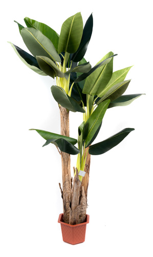 Planta Banano Artificial 