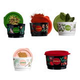 Kit Potinho De Condimentos Floral  - Tupperware