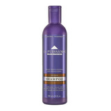 Shampoo Matizador Violeta La Puissance X 300 Silver