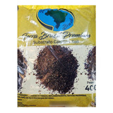 Terra Brasil Substrato Carolina Soil 400g P/ Mudas - Un