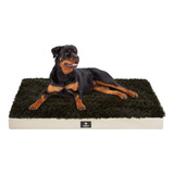 Veehoo Cama Inflable Para Perros Grandes  Cama Para Perros