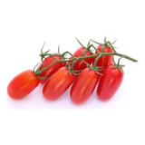 Pack 2 Sobres De Semillas Tomate Pera (hortalizas)