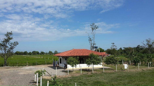 Vendo Finca Jurisdiccion En Cumaral Villavicencio - Imagen 3