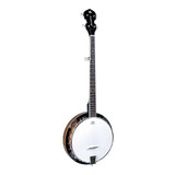 Banjo Americano 5 Cordas Strinberg Wb50 - Exclusivo