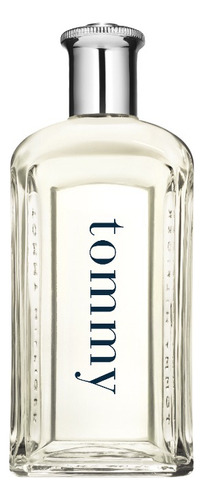 Tommy Hilfiger Hilfiger Man Edt 100 ml Para  Hombre