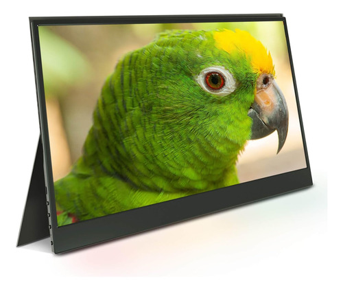 Monitor Portátil Jren, Monitor Externo Fhd 1080p Usb-c Hdmi 