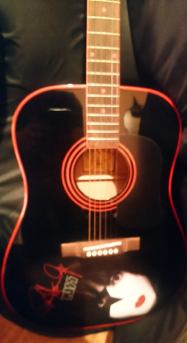 Kiss Paul Stanley Guitarra Washburn Acustica Con Funda Ltd