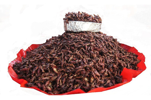 500 Gramos De Chapulines Oaxaqueños