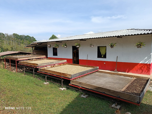 Se Vende Finca Con Dos Casas, Salamina, Caldas. - Imagen 3