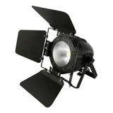 Luces Led Profesional 100w Cob Dmx512 Par64 Color Luz