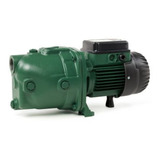 Bomba Agua Jet Cabezal Fierro 1 Hp 115 V Dab 102m Color Verde