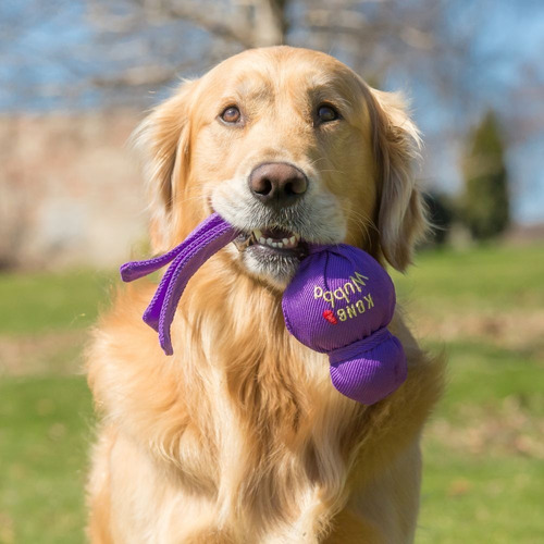 Kong Juguete Wubba Para Tu Mascota Lanzalo Talla S 