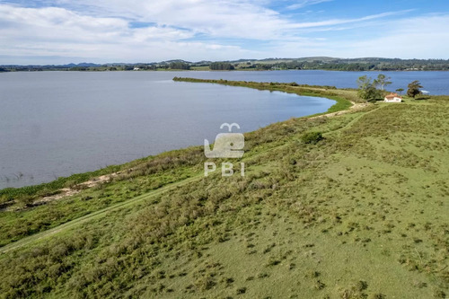 Chacra Sobre Laguna Del Sauce Con Costa, De 18 Ha - Ref : Pbi3119 - Imagen 3