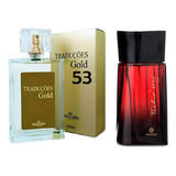 Perfume Masculino Traduções Gold Nº 53 Hinode  - Nova Embalagem - Fragrância Aromatico Fougère - Feelin Sexy 100ml