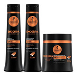 Shampoo Condicionador E Máscara 500ml Haskell Encorpa Cabelo