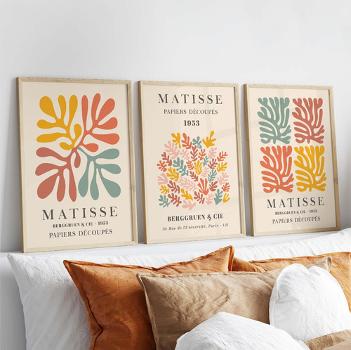 Cuadros Henri Matisse Flower Set X3