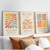 Cuadros Henri Matisse Flower Set X3